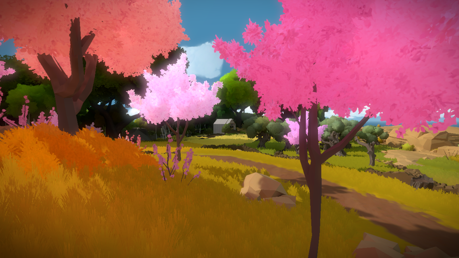 thewitness 1